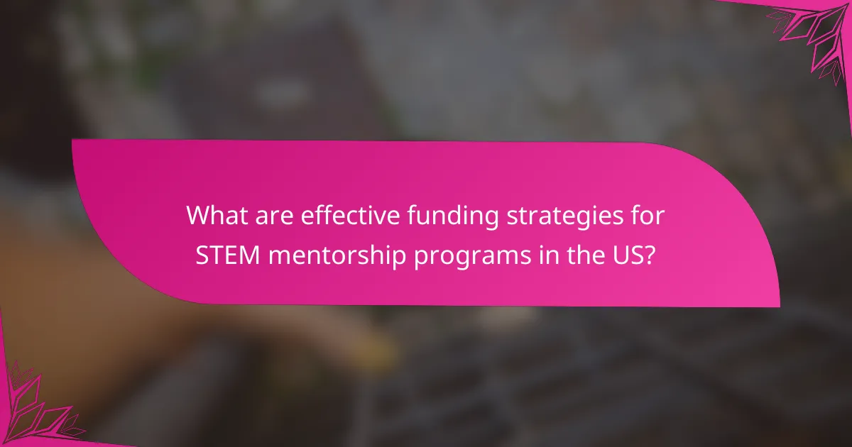 What are effective funding strategies for STEM mentorship programs in the US?