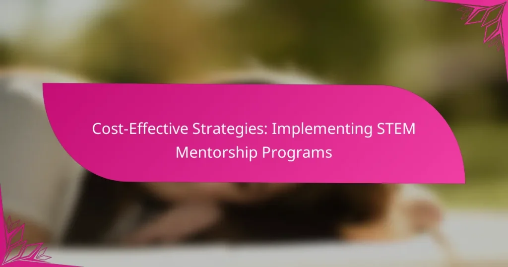 Cost-Effective Strategies: Implementing STEM Mentorship Programs