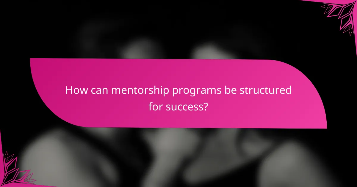How can mentorship programs be structured for success?