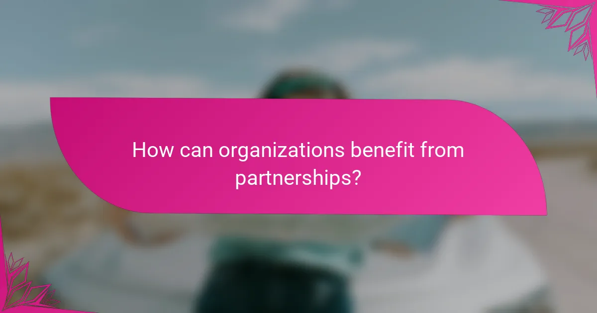 How can organizations benefit from partnerships?