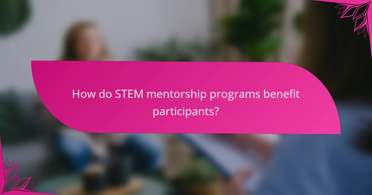 How do STEM mentorship programs benefit participants?