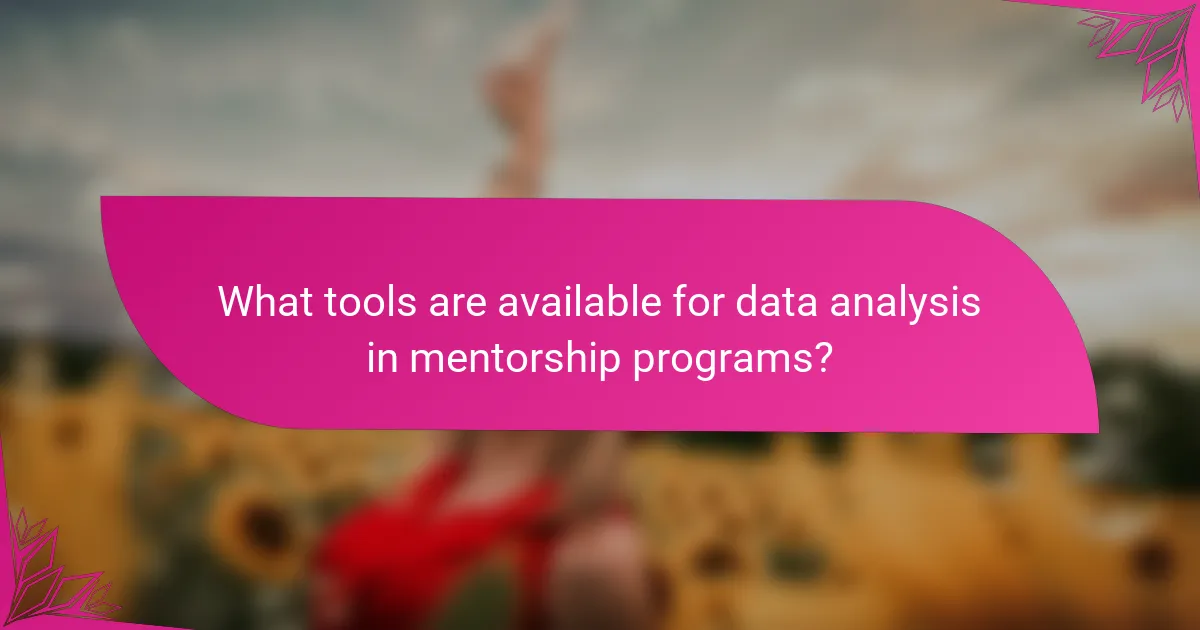 What tools are available for data analysis in mentorship programs?